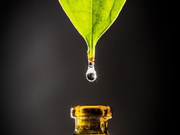 huiles essentielles erection