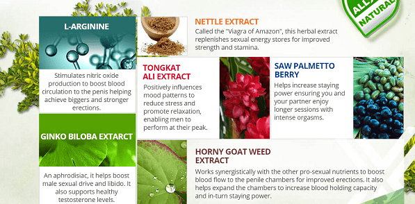 composition Male Power Plus