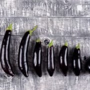 Croissance du pénis : comment grandit-il et quand s’arrête t-il de grandir ?